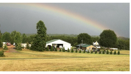 Gann Brothers Septic Tank Service Best Septic system service in Mayodan